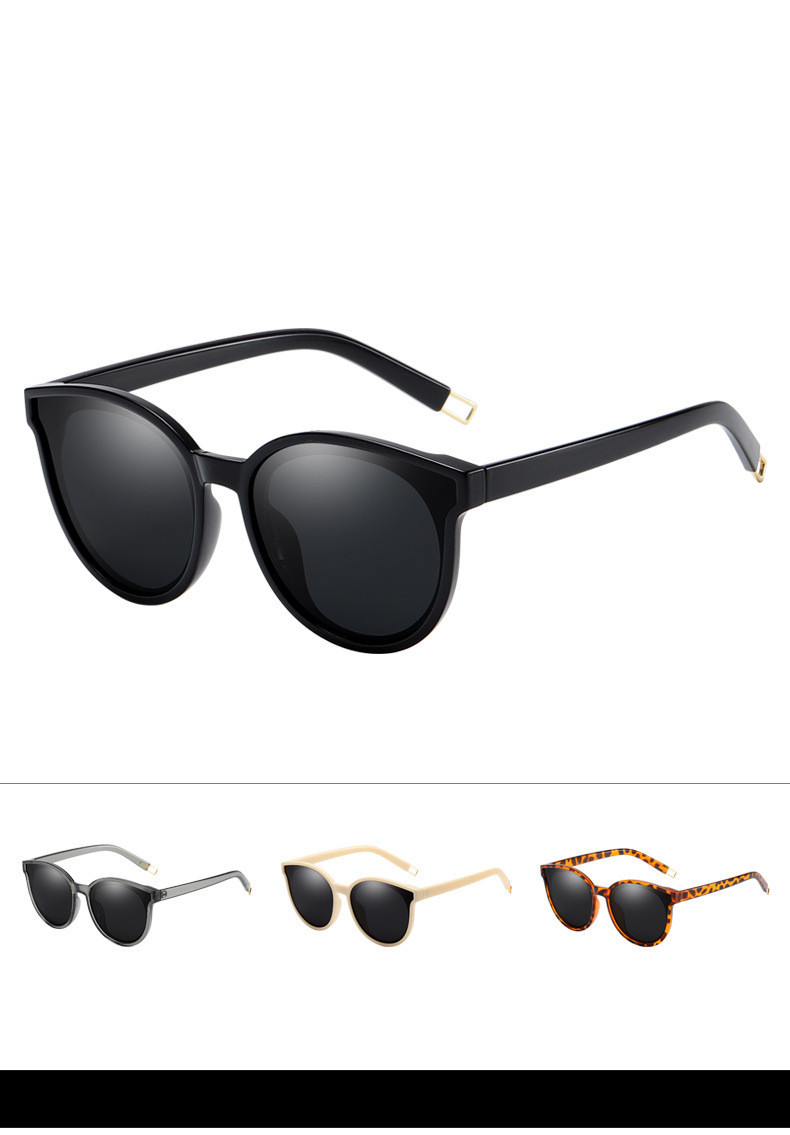 LargeFrame Polarized Sunglasses - Image 5