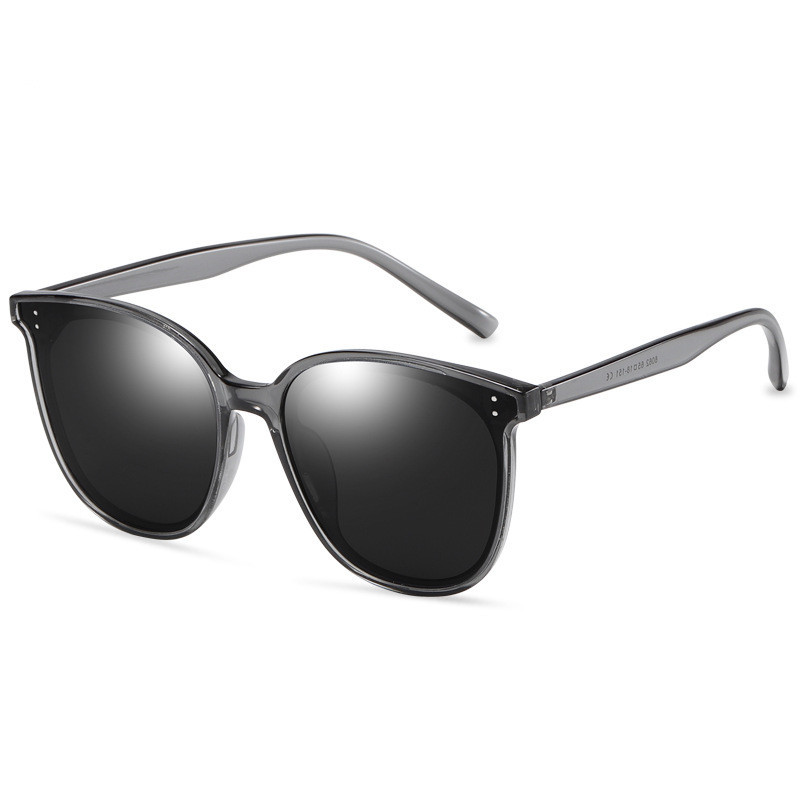 LargeFrame Polarized Sunglasses - Image 3