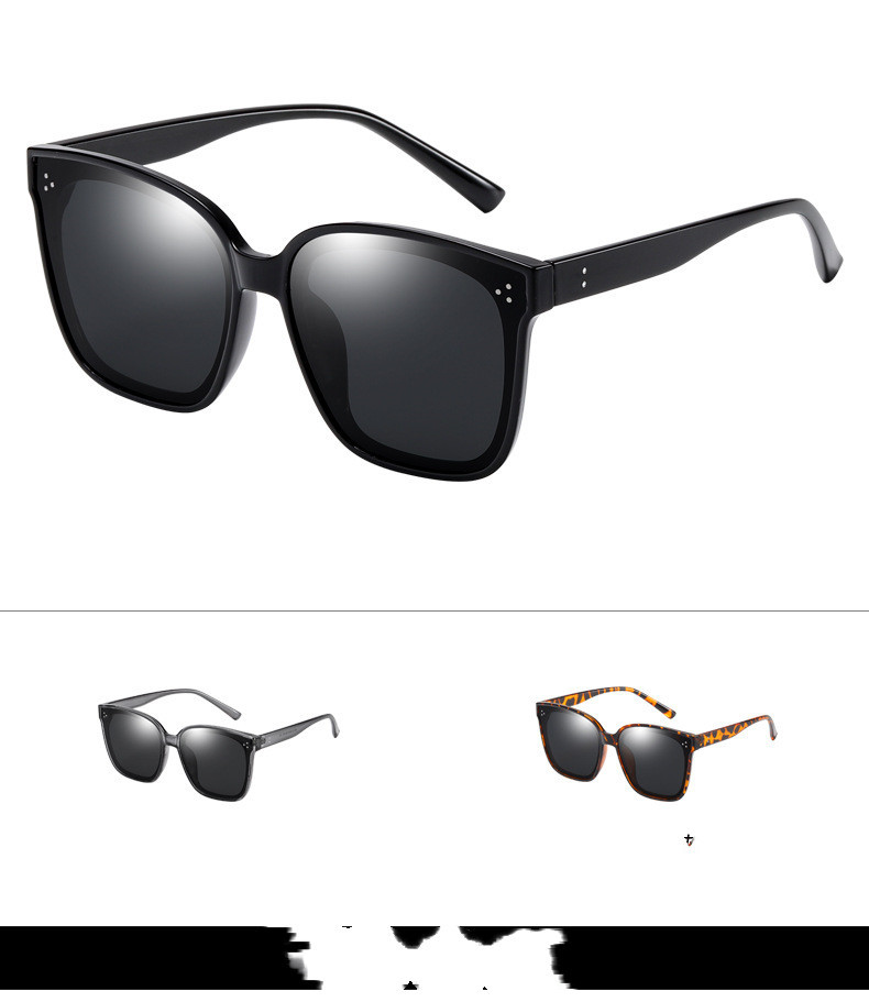 LargeFrame Polarized Sunglasses - Image 4